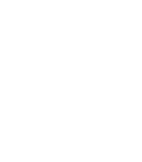 Castle Logo - white png